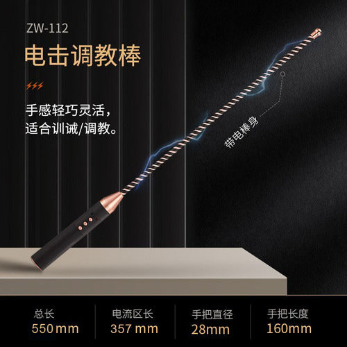 Roomfun Fun SP Electric Whip Clap High Tide Pulse Couple Punishment and Training SM Prop