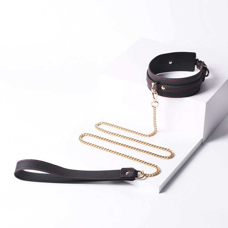 SM collar, dog slave dog leash, flirtation, binding, restraint, torture device