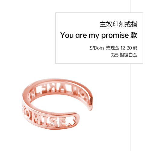 SM Ring 925 Sterling Silver Material Unisex Shame Revealing Master Slave Couple Commemorative Gift