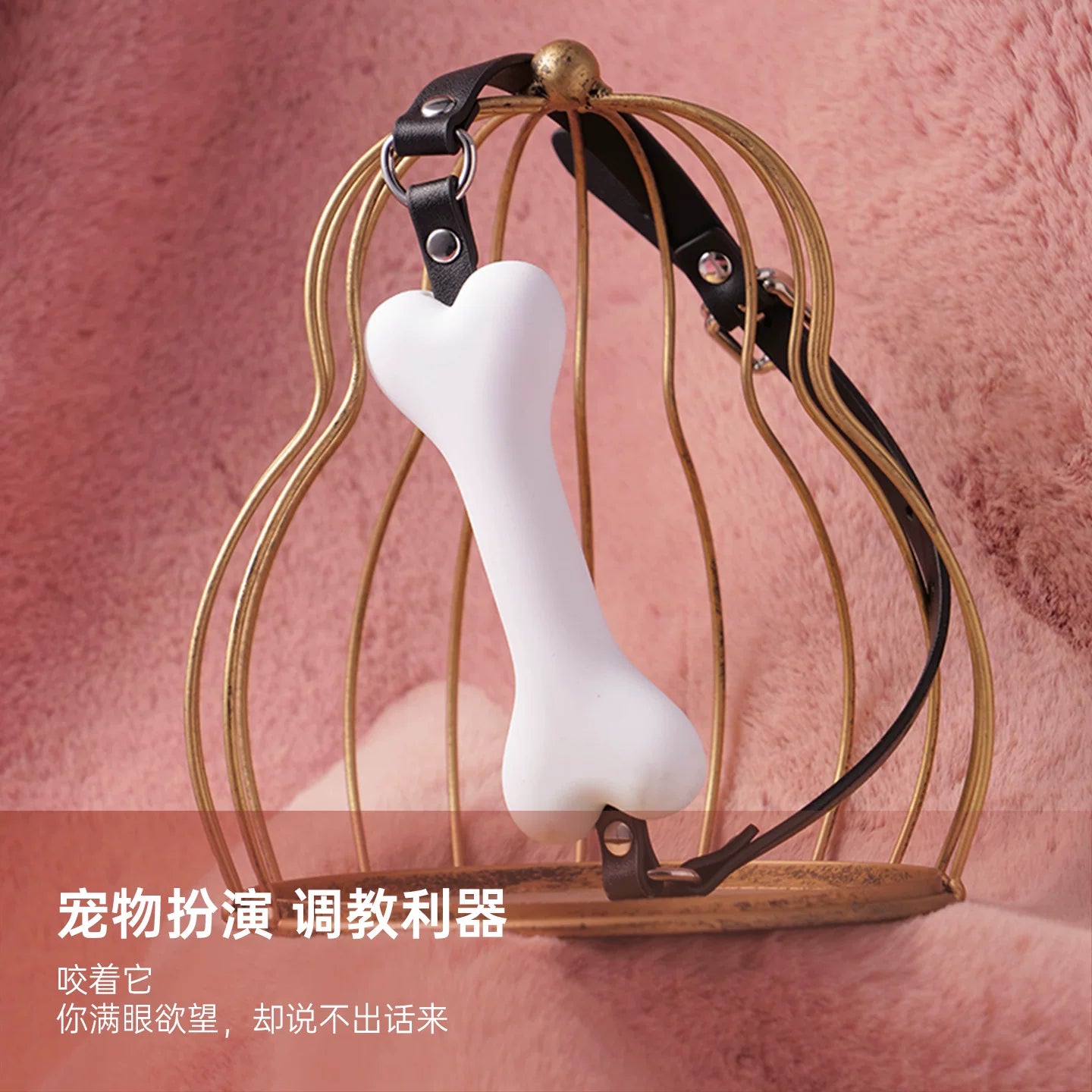 纵锦浪里骨头口塞口枷男SM情趣用具另类性成人玩具道具惩罚穿戴